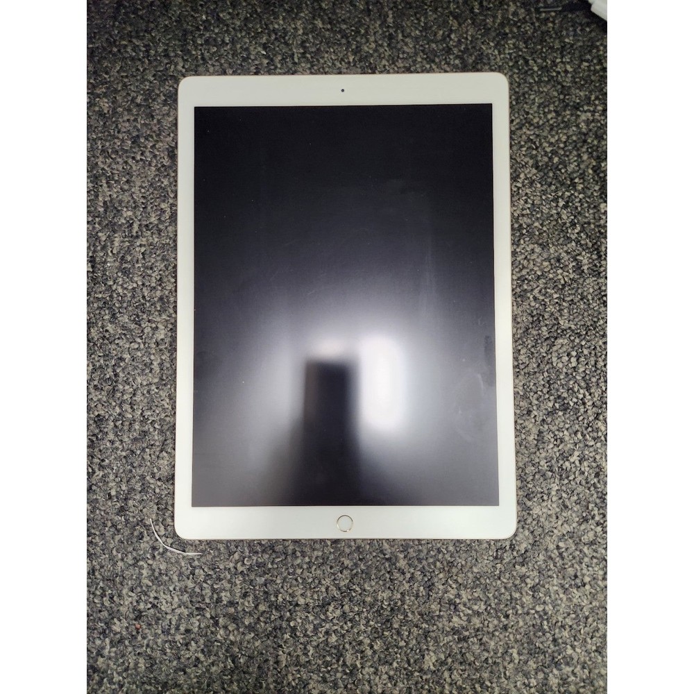 iPad Pro 12inch (1st Gen)